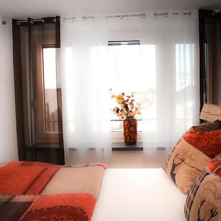 Casa De Luisa Apartment Viechtach